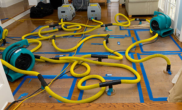 Professional Water Extraction technician working in Lyons, OH